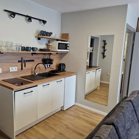 Lägenhet Apartamenty-dom Pod Sosna