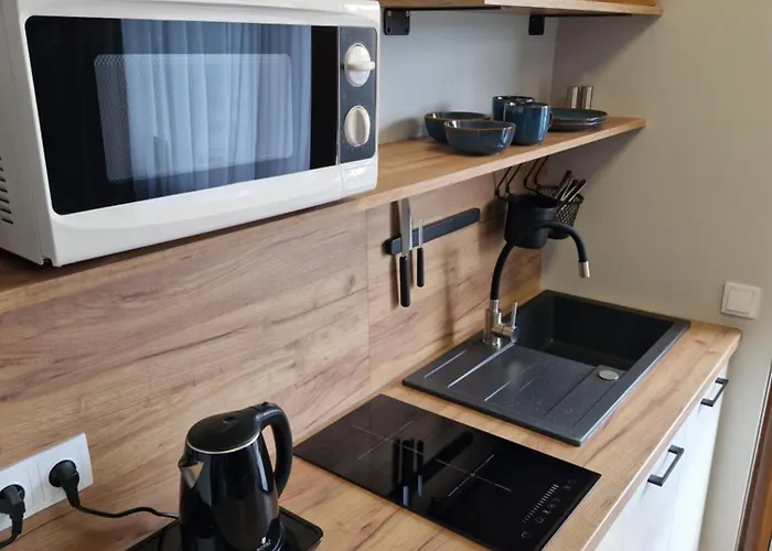 Apartamenty-dom Pod Sosna アパート グニェズノ