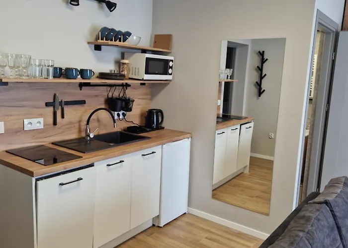 アパート Apartamenty-dom Pod Sosna